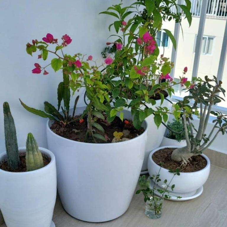 Beautiful Duplex in the Heart of Miraflores - Apartamento de 2 dormitorios - 15