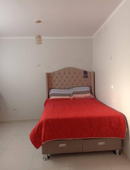 Eltejado - Apartamento de 1 dormitorio - 2