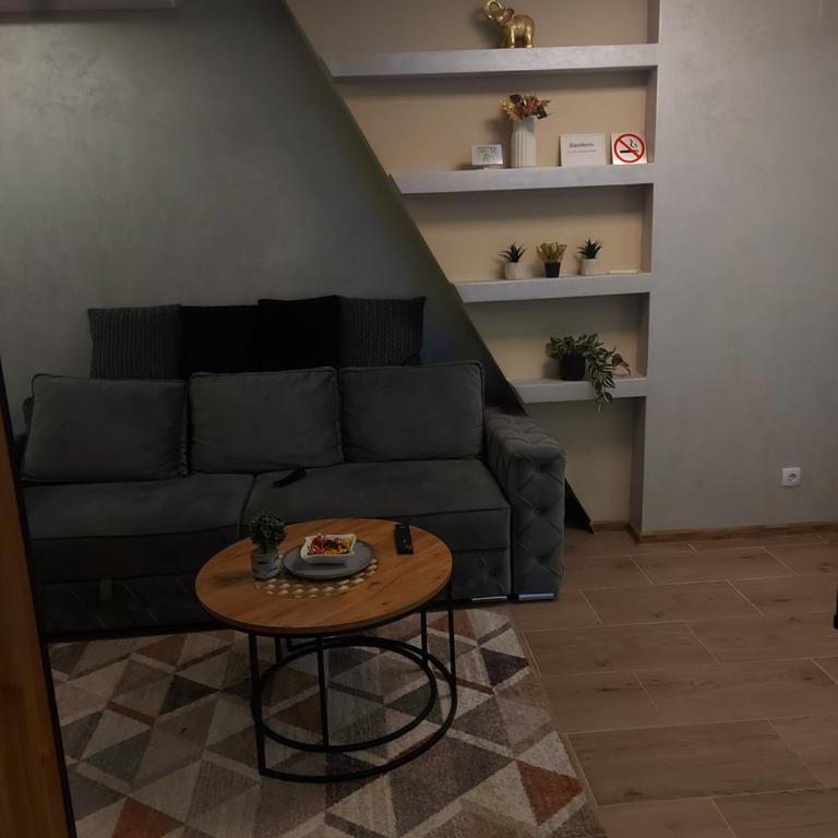 Apartman Davidović MD 2 Divčibare - One-Bedroom Apartment - 6