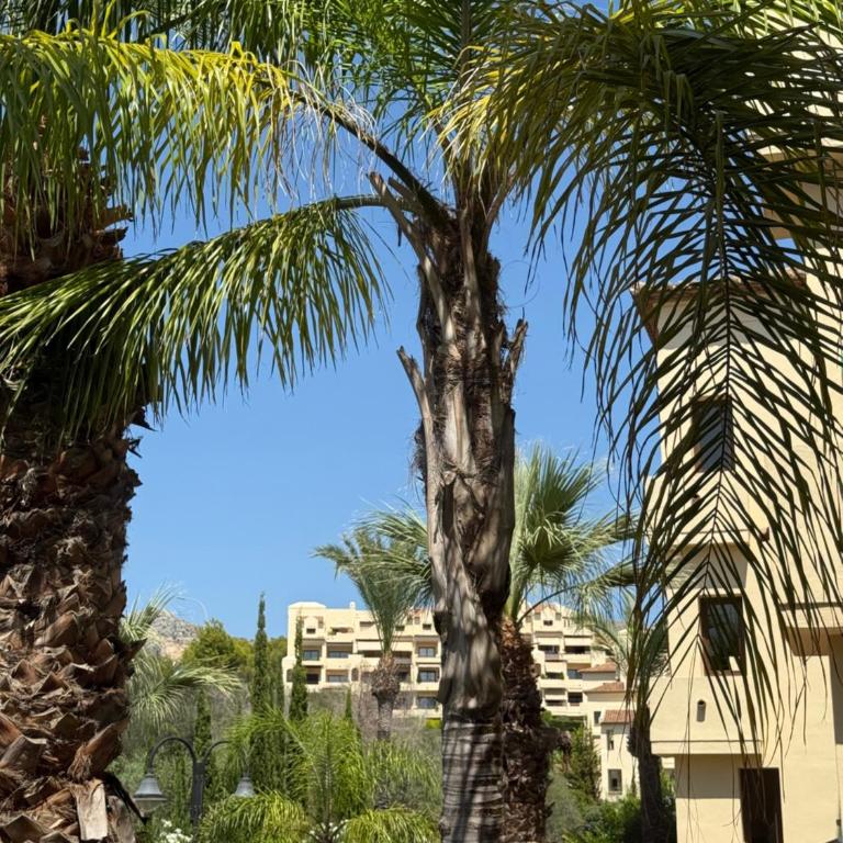 Altea-Villa Gadea Place - Apartamento de 2 dormitorios - 51