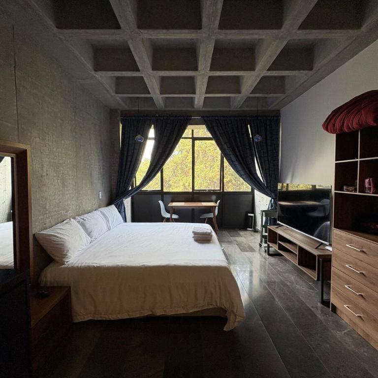Loft in the Heart of Roma Norte - Apartamento de 1 dormitorio - 4