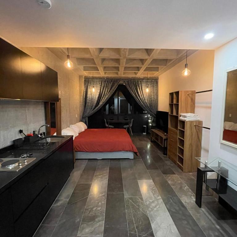 Loft in the Heart of Roma Norte - Apartamento de 1 dormitorio - 11