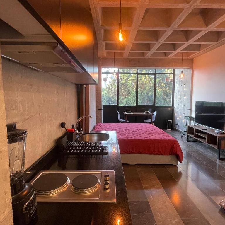 Loft in the Heart of Roma Norte - Apartamento de 1 dormitorio - 20