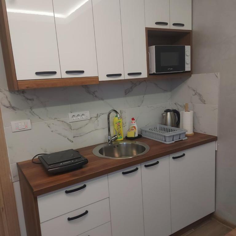Apartman Davidović MD 2 Divčibare - One-Bedroom Apartment - 15