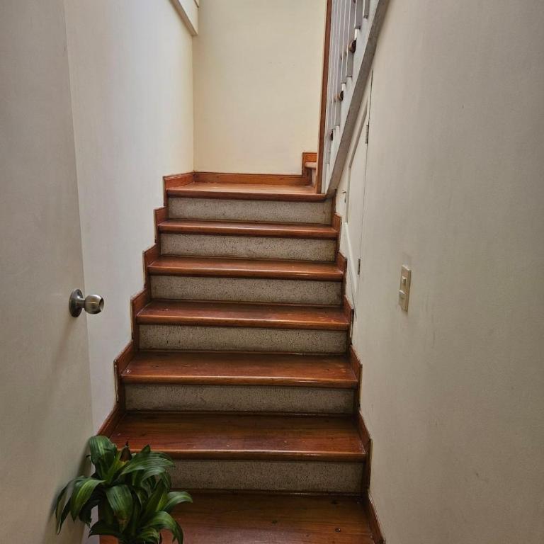 Cozy, Convenient and Affordable Loft In Laureles - One-Bedroom Apartment - 27