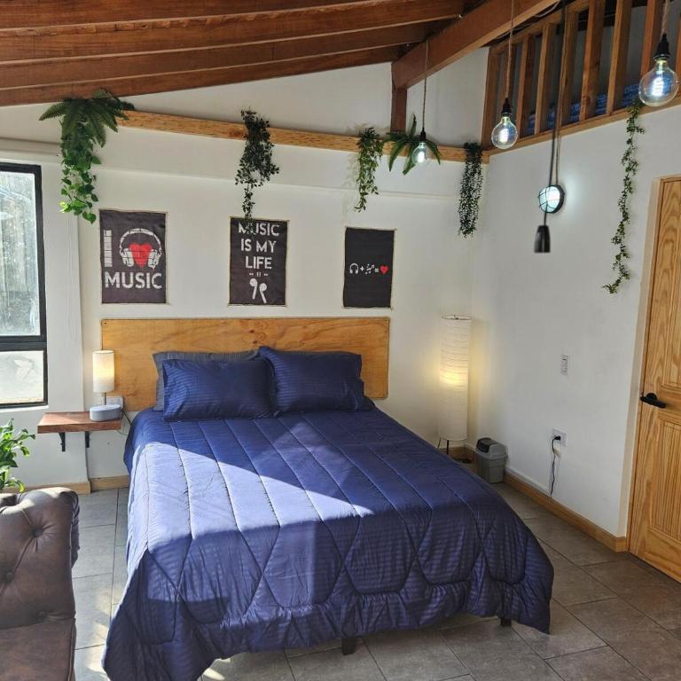 Cozy, Convenient and Affordable Loft In Laureles - One-Bedroom Apartment - 5