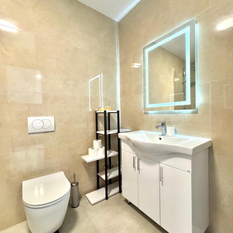 Comfort Apartments Balkan - Deluks Dvokrevetna Soba sa Bračnim Krevetom/Zasebnim Krevetima - 5