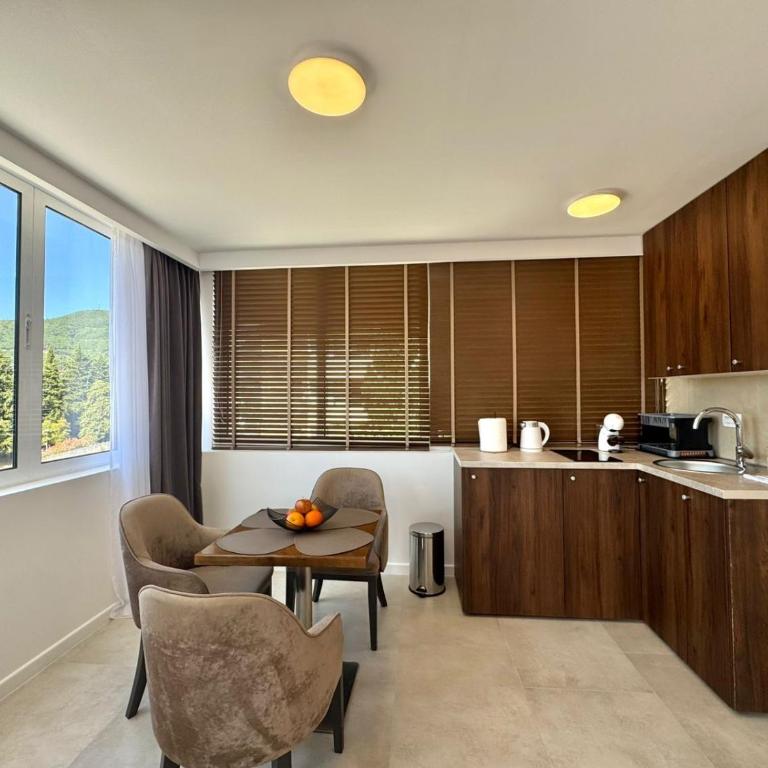 Comfort Apartments Balkan - Apartman sa 1 Spavaćom Sobom i Pogledom - 4