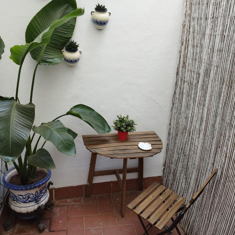 Alfareria Ocho - Apartamento de 1 dormitorio - 4