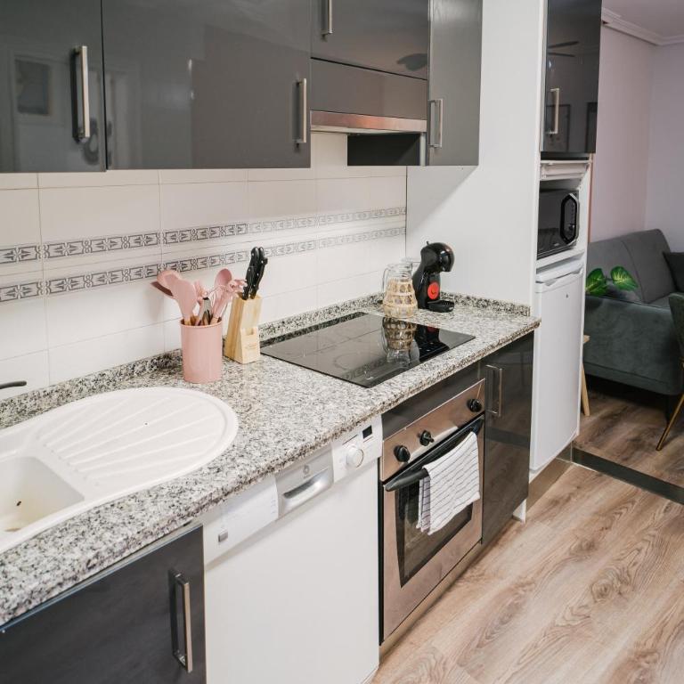 Conde Barrio Humedo - Apartamento - 2