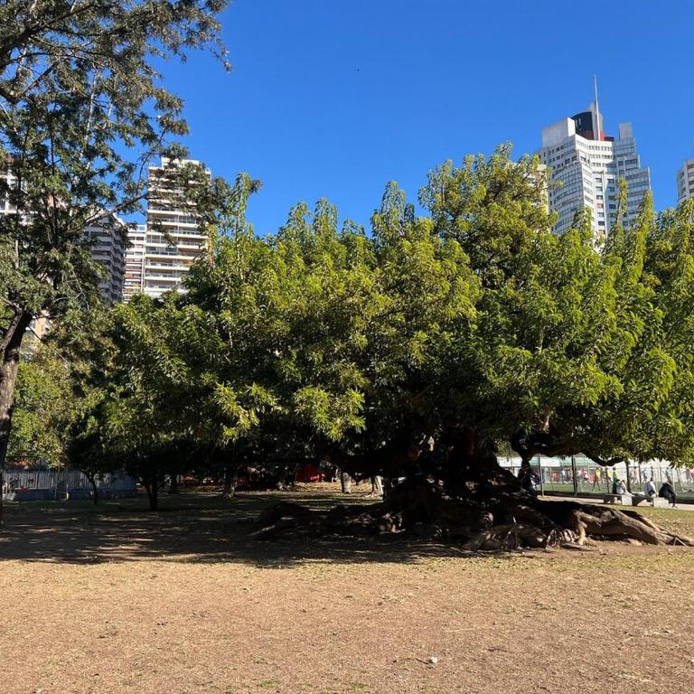 Hermoso departamento en Palermo chico, Parque Las Heras - Apartamento de 1 dormitorio - 7