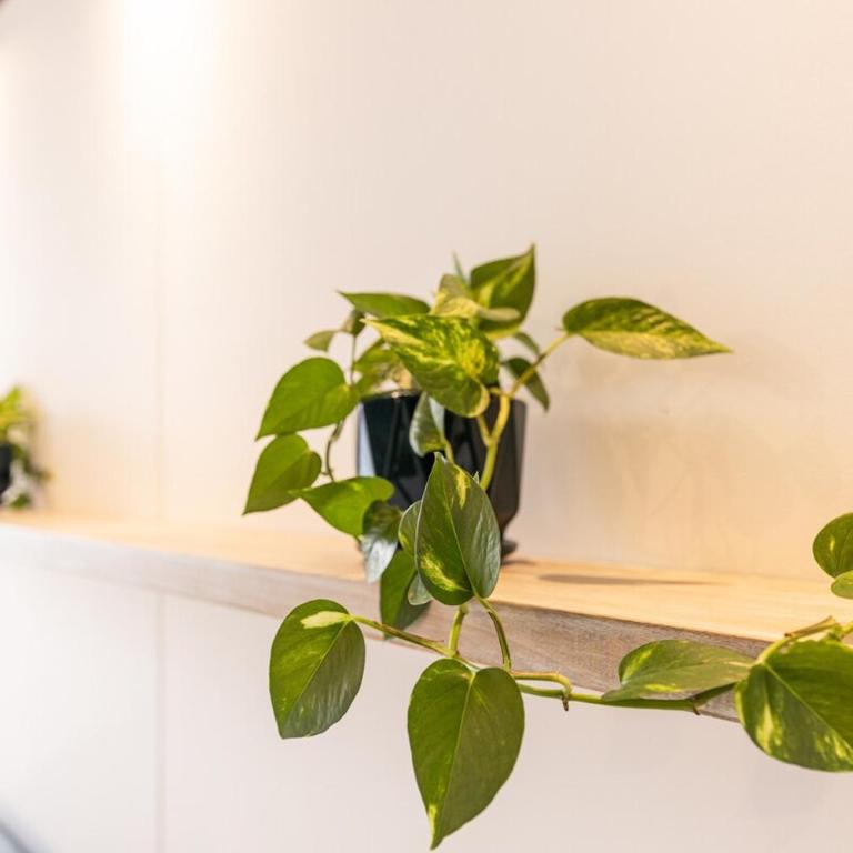 Spacious 2H Modern in Envigado - Two-Bedroom Apartment - 49