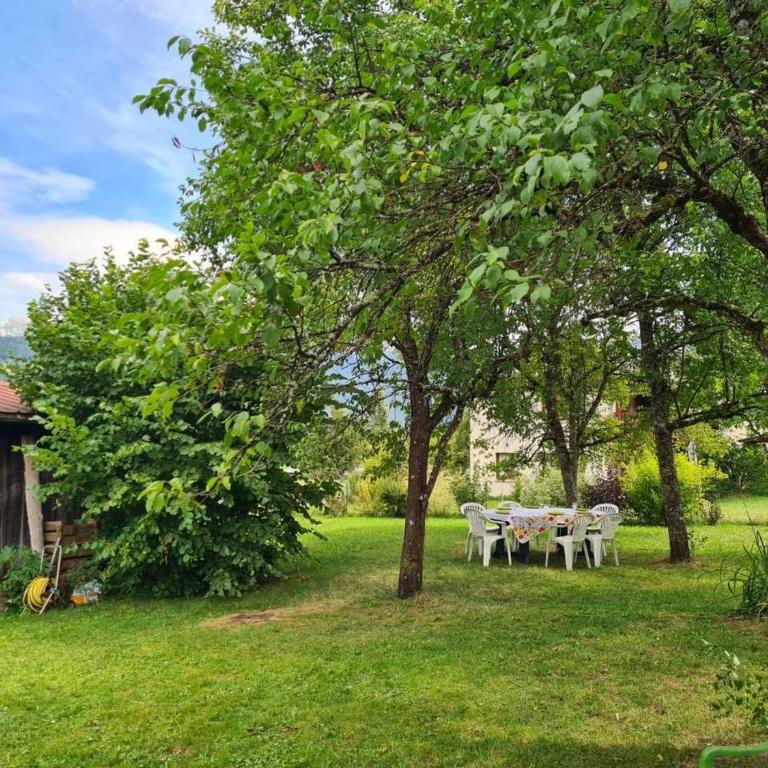 Maison familiale à Morillon, sauna et jardin - Appartement 2 Chambres - 11