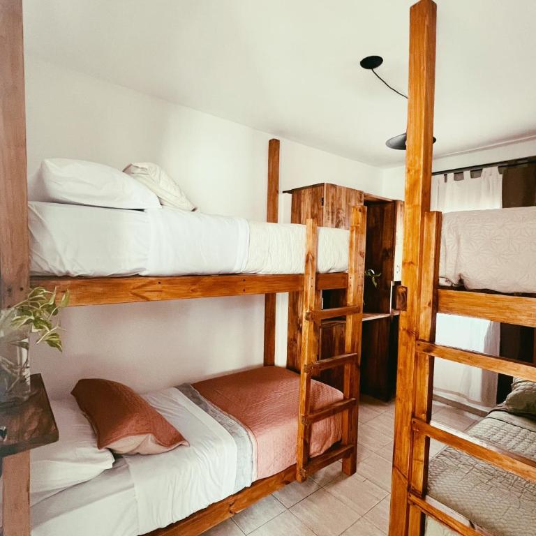 Hostel Casa Revol - Habitación compartida femenina de 4 camas - 3