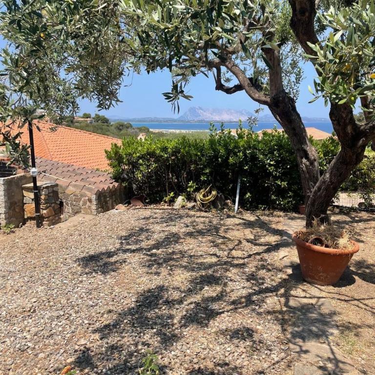 Villa Mustaro R - Casa con 8 Camere da Letto - 18