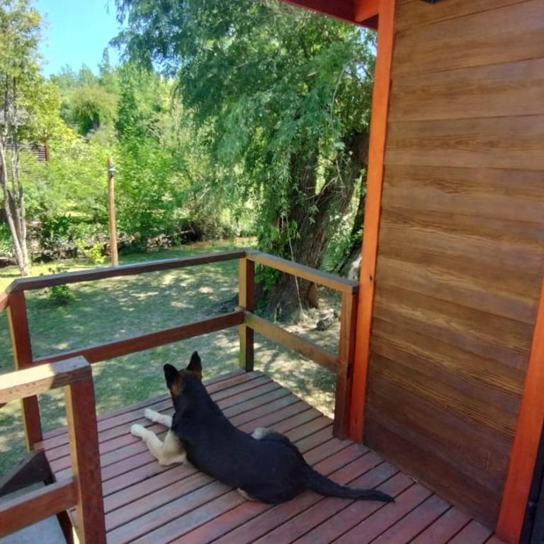 Cabañas Delta Tigre - One-Bedroom Apartment - 4