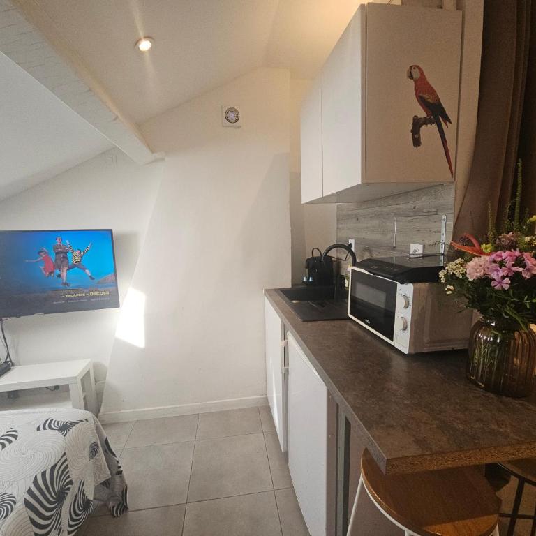 Studette indépendante Hyères Gare Particulier - Appartement 1 Chambre - 5