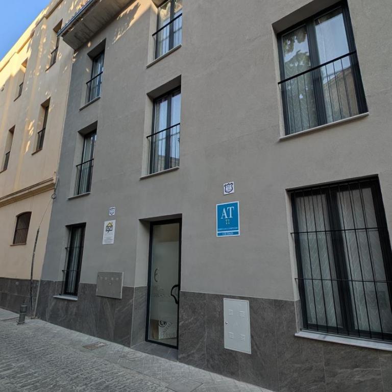 Apartamentos Gran Capitán - parking opcional - One-Bedroom Apartment with Terrace - 4