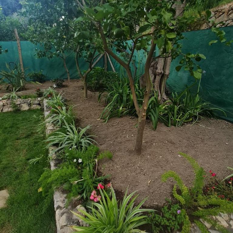 CASA BETANIA DA PEPPE - Two-Bedroom House - 35