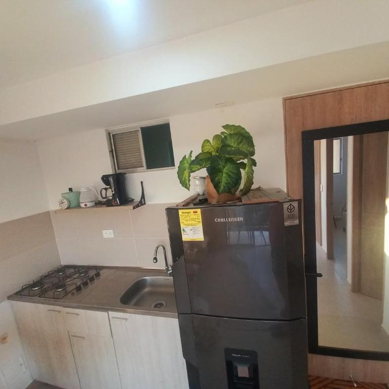 Apartamento en santa marta con picsina vía tayrona y palomino - One-Bedroom Apartment - 11