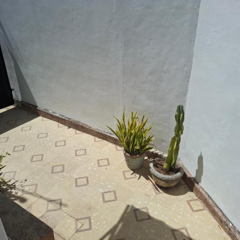 Mayan down town - One-Bedroom Apartment - 18