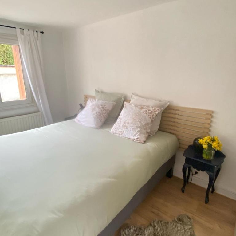La perle de Gérardmer - Appartement standing 100 m2 au bord du lac - Appartement 1 Chambre - 14