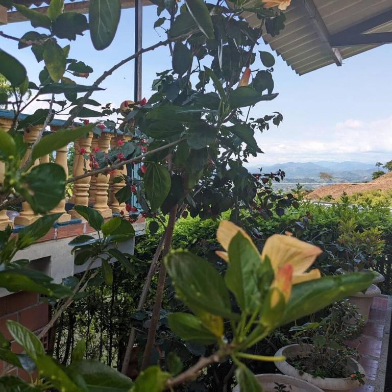 El descanso perfecto - Three-Bedroom House - 14