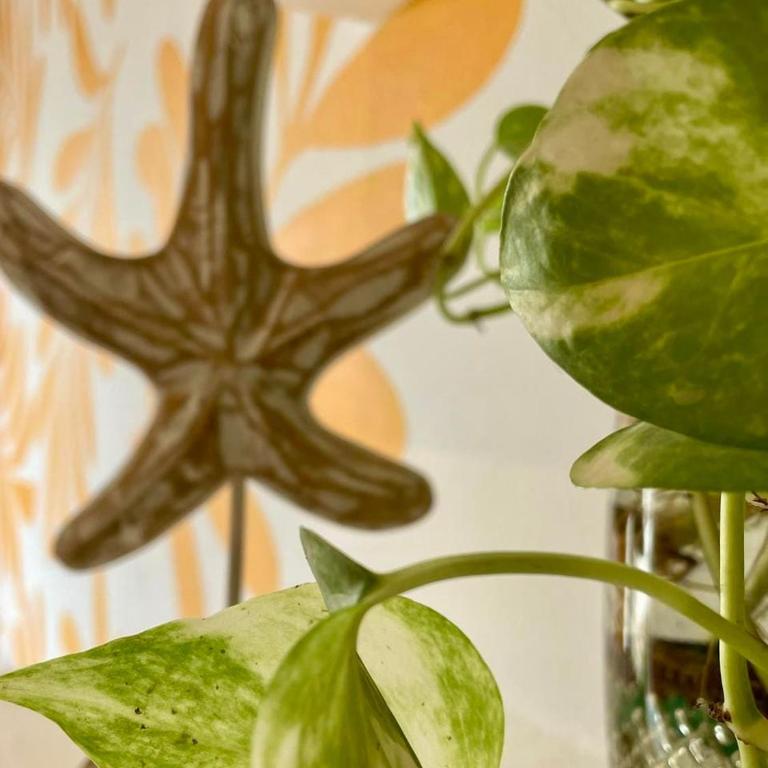 Espectacular Apartam Tropical en Centro Historico - Apartamento - 12