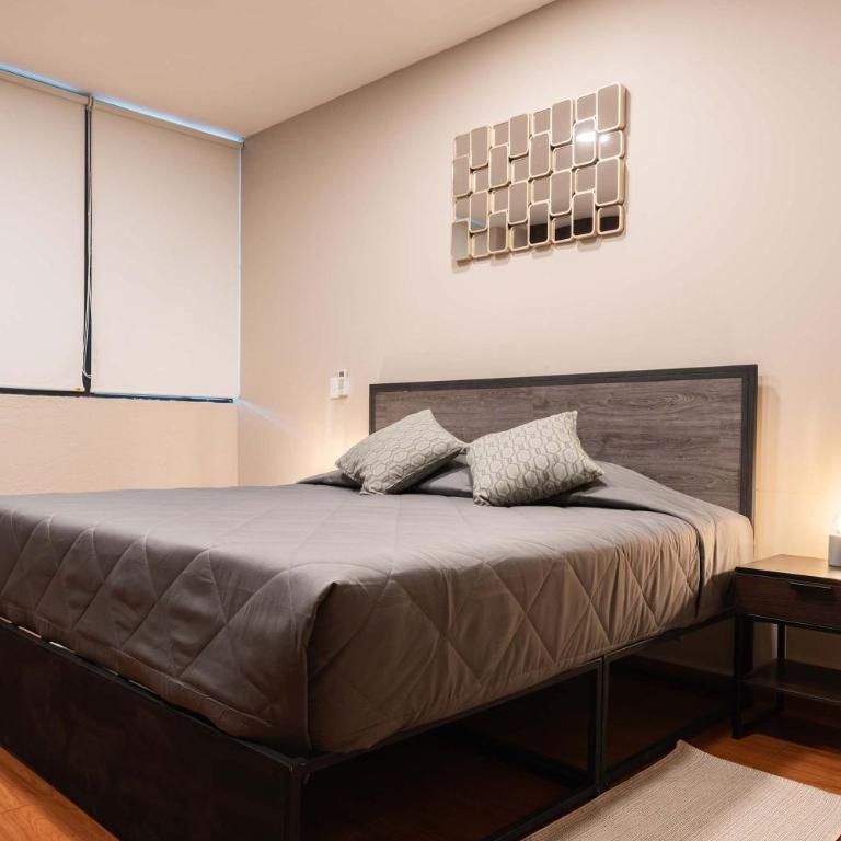307 Spacious AC apt Historic CDMX Rooftop - Apartamento - 3