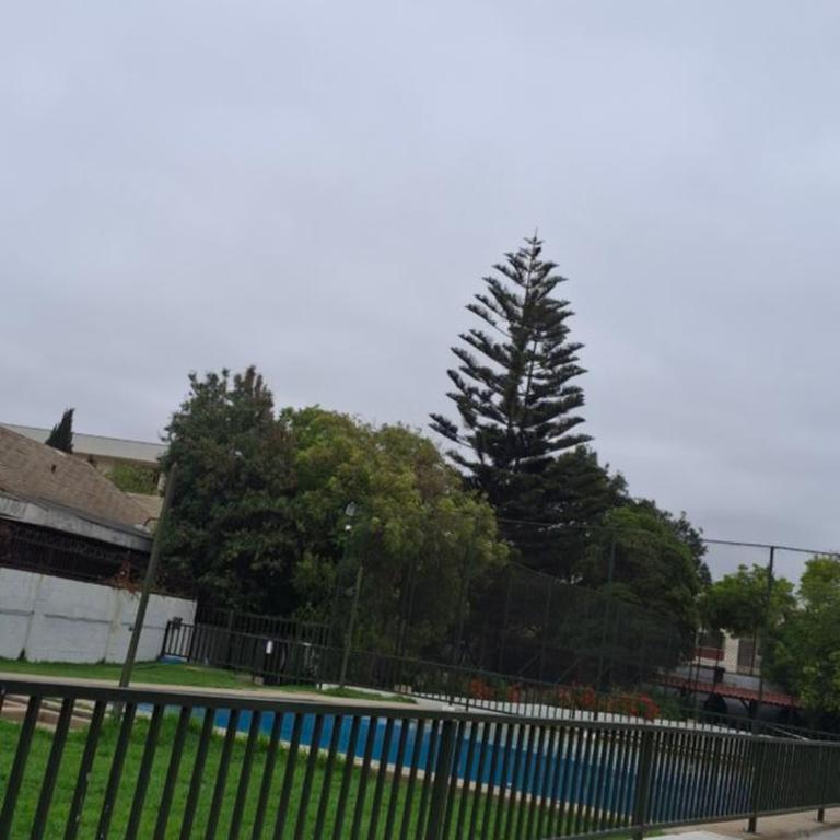 Departamento en Muelle vergara - Apartamento de 2 dormitorios - 10