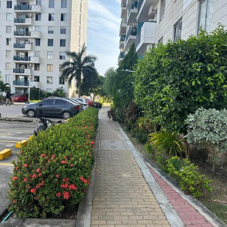 Elegant furnished apartment in Cartagena - Apartamento de 2 dormitorios - 16