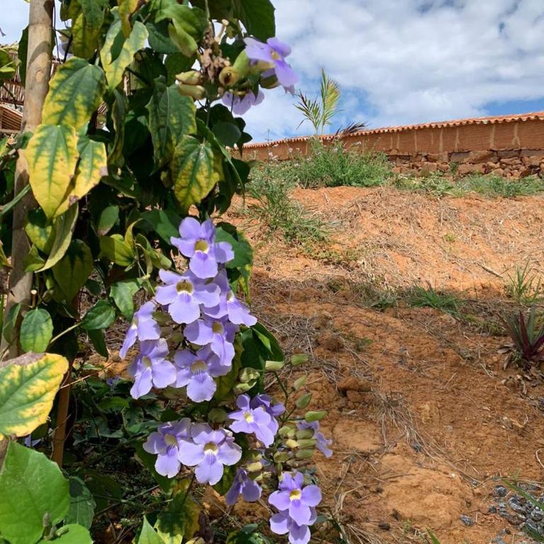 Refugio en Barichara con piscina, jardines y atardeceres únicos - Villa de 2 dormitorios - 10