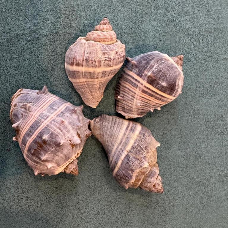 Salinas Del Mar - Apartamento de 1 dormitorio - 11