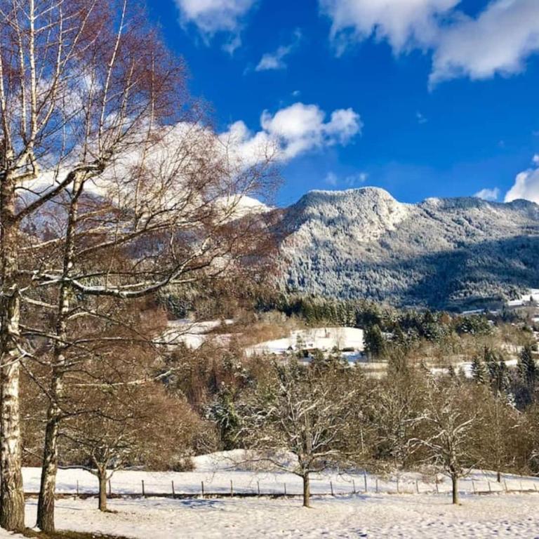 La Bergerie T2 with Lake and mountains view - Appartement - 21