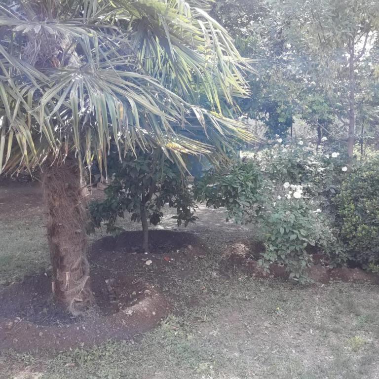 El descanso - Casa con 1 dormitorio - 4