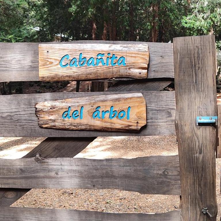Cabañita del Árbol Cóndor - Chalet de 2 dormitorios - 19