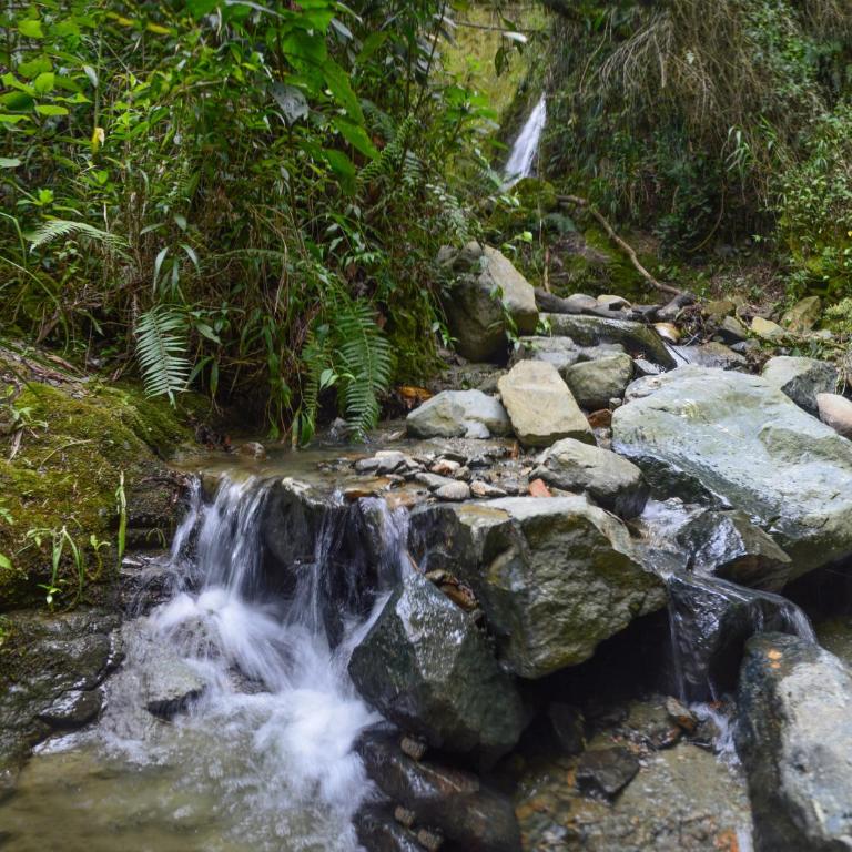 Glamping en Medellín - Kinsho Glamping - Cabaña con Jacuzzi privado - Chalet de 1 dormitorio - 15