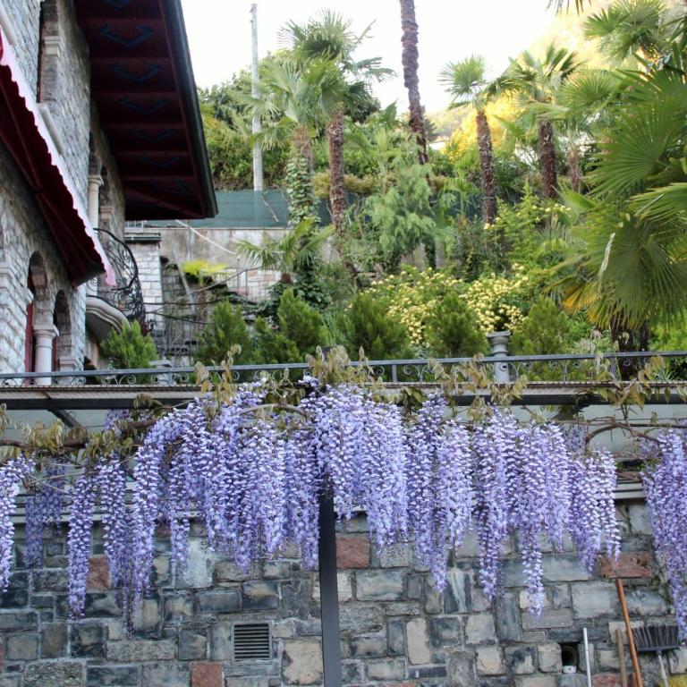 Barony romantic villa - Villa - 35