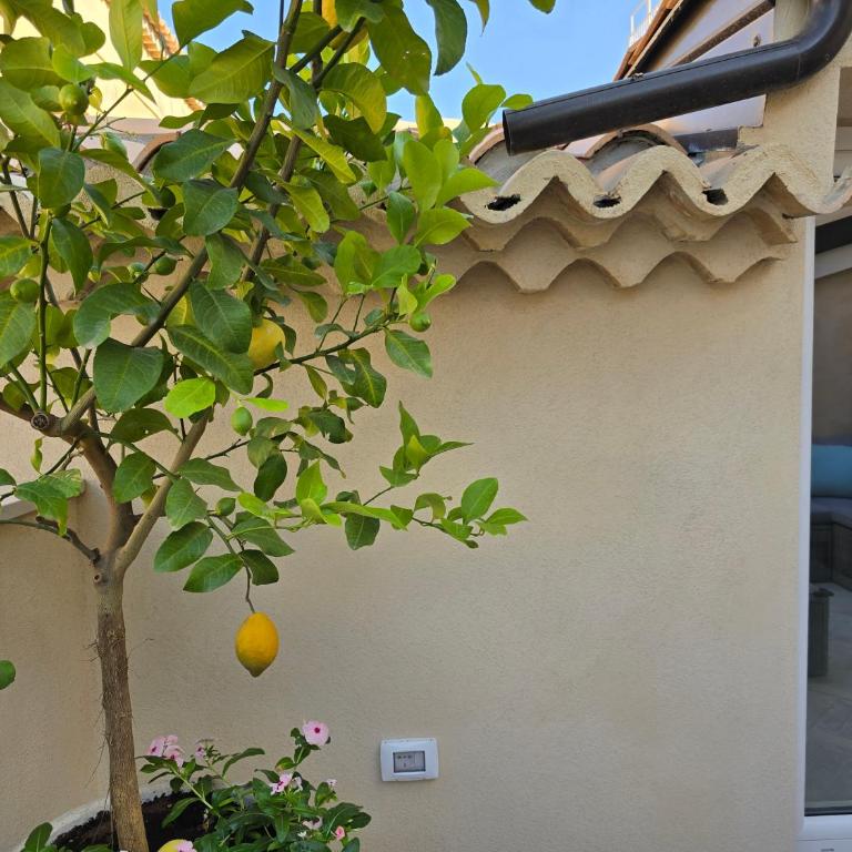 Boutique Domus Tropea - Appartamento con 2 Camere da Letto - 34