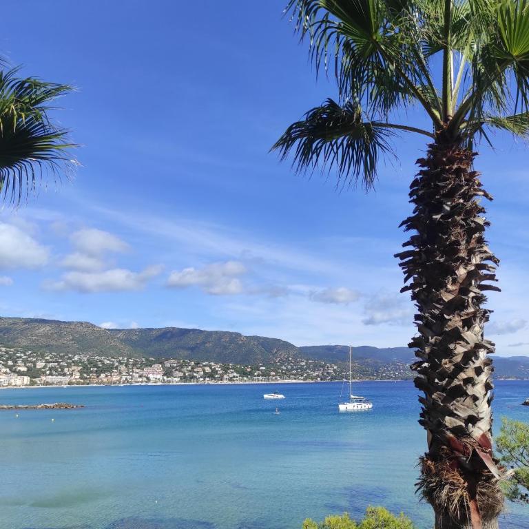 Studio avec terrasse proche plages - Apartamento de 1 dormitorio - 6