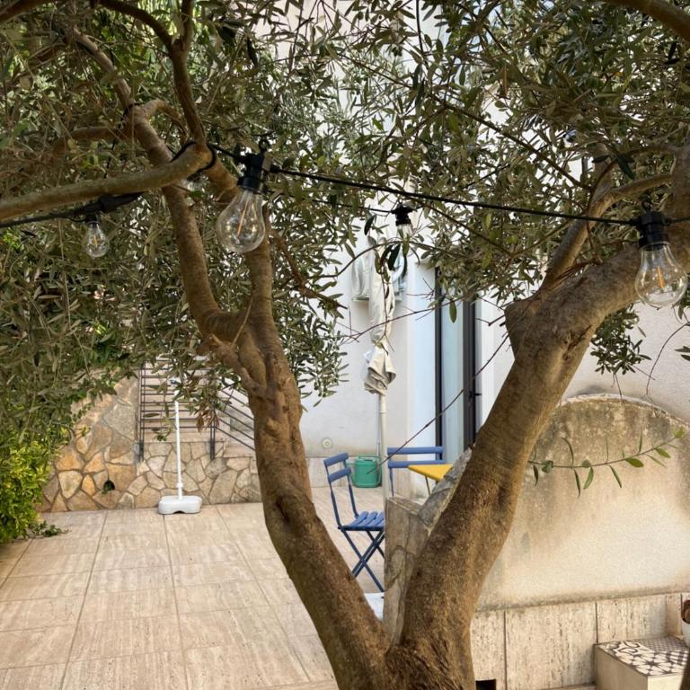 Villa Giulia Maria - Apartment mit 1 Schlafzimmer - 47