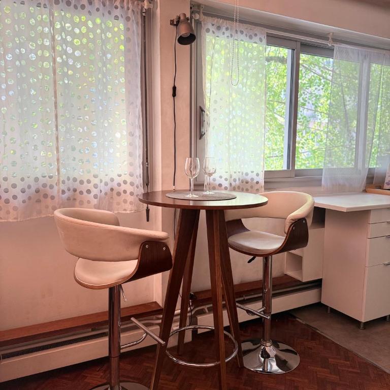 Studio Singer Tour Eiffel La Muette - Appartement 1 Chambre - 14