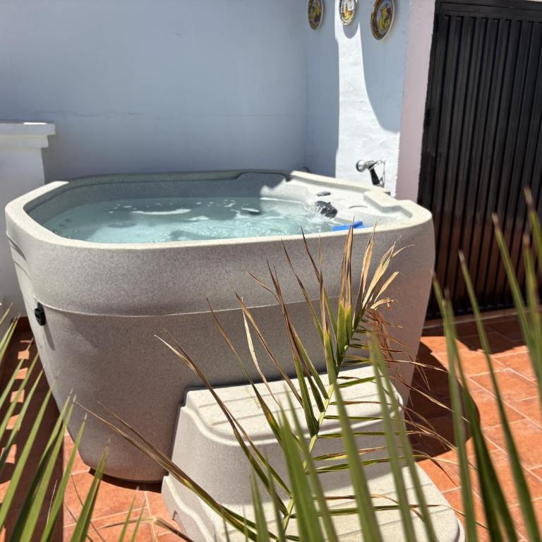 Tetuan 15 - Oasis Properties - Apartamento de 2 dormitorios con terraza y vistas al mar - 9