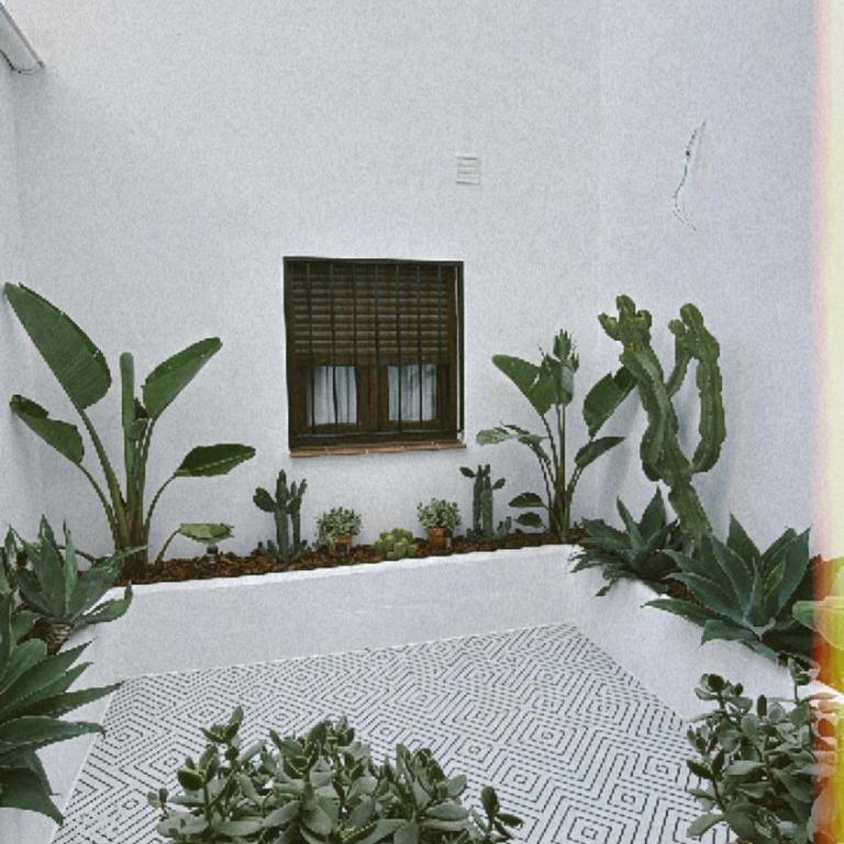 La morada de Rosafina - Apartamento Deluxe de 2 dormitorios - 29