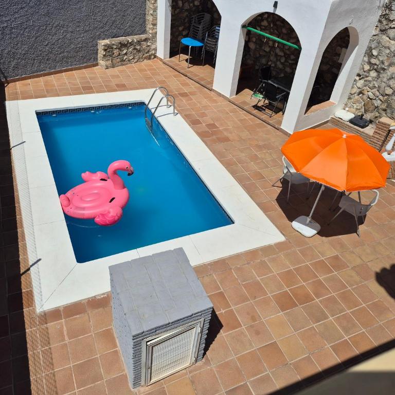 UF holiday house - Apartment with Pool View - 5