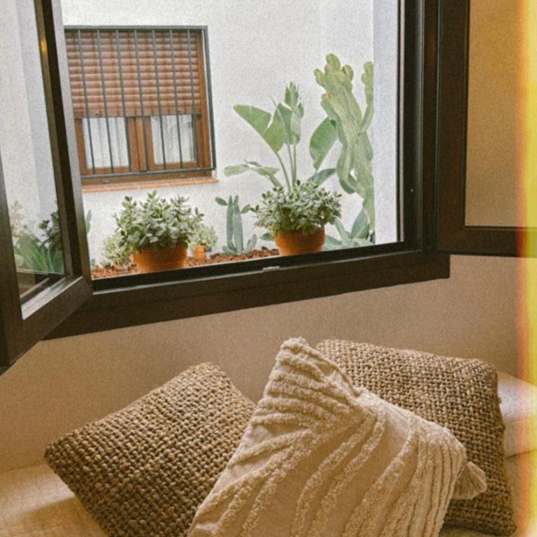 La morada de Rosafina - Apartamento Deluxe de 2 dormitorios - 8