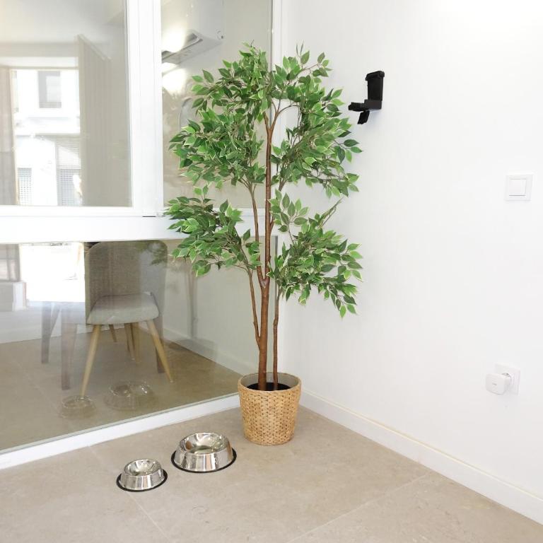 JB22 - Loft Valencia - Apartamento de 1 dormitorio con terraza - 38