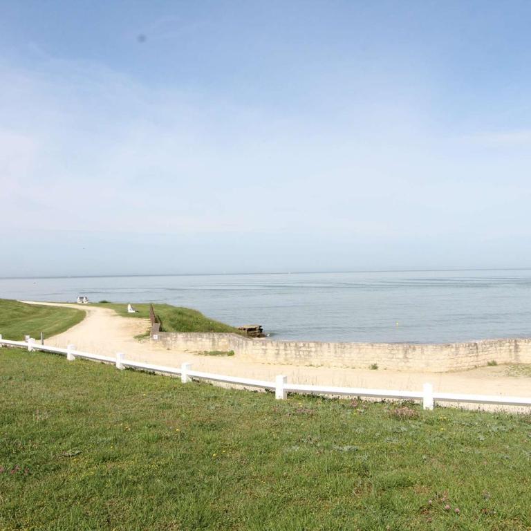 Studio avec terrasse et animaux acceptés en bord de mer - FR-1-494-61 - Monolocale - 1