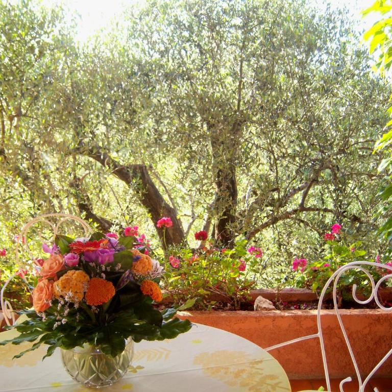 Bastide Rose de Mai - Chambre Double avec Terrasse - 12