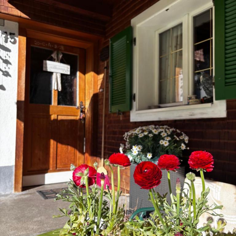 Landhaus Lerch - Apartment mit 3 Schlafzimmern - 10